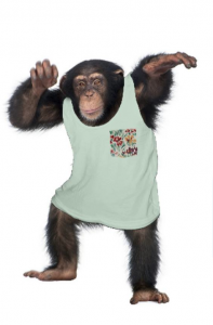 Screen Shot 2014-10-03 at 10.39.11 AM