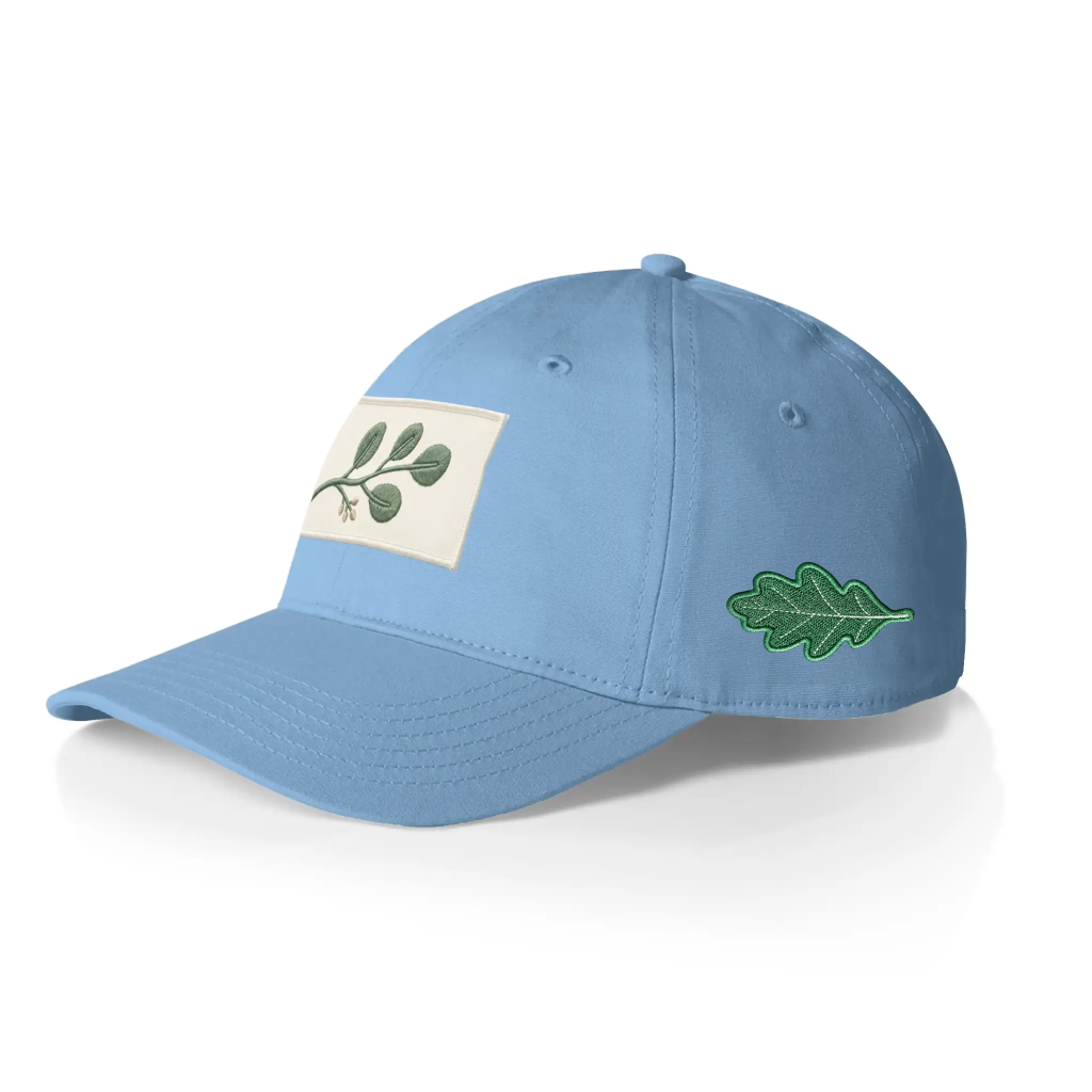 Valucap Light blue baseball cap (vc300A) with green leaf embroidery and a small plant patch, natural-themed casual accessory.